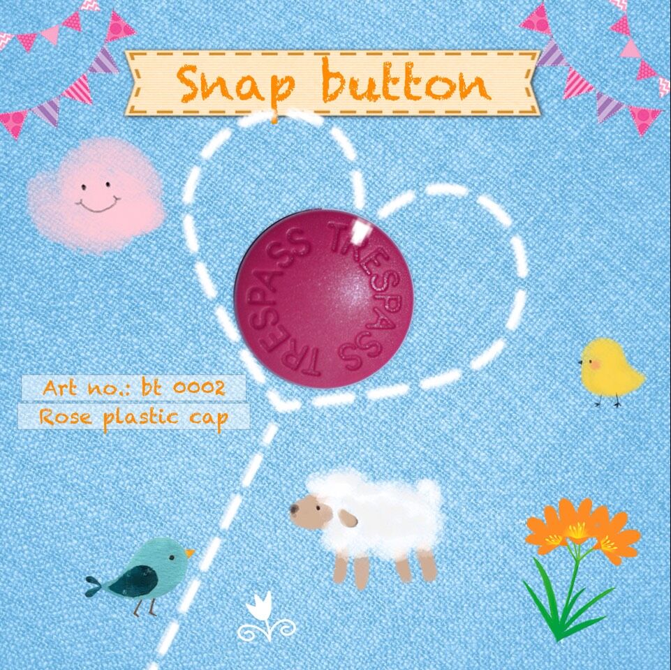 snap button